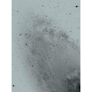 Florian Schwarz: A handful of dust