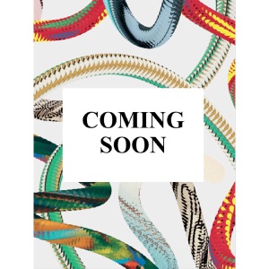 Shigeru Ban (Basic Art)