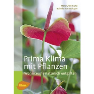 Prima Klima mit Pflanzen: Wohnräume natürlich entgiften