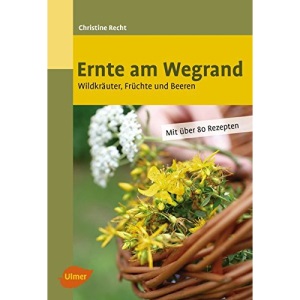 Ernte am Wegrand: Wildkräuter, Früchte und Beeren