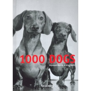 1000 Dogs (Klotz)