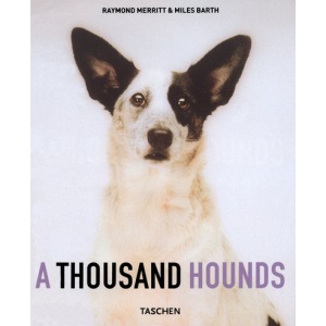 A Thousand Hounds (Taschen specials)