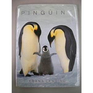 Penguino / Penguin