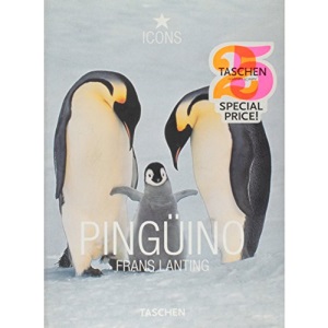 Pingüino