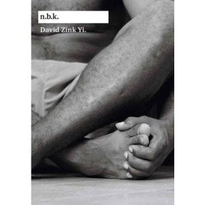 David Zink Yi: n.b.k. Ausstellungen Band 13