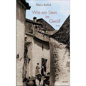 Wie ein Stein im Geröll: Roman