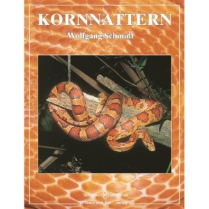 Kornnattern.