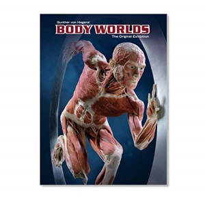 BODY WORLDS: The Original Exhibition of Real Human Bodies