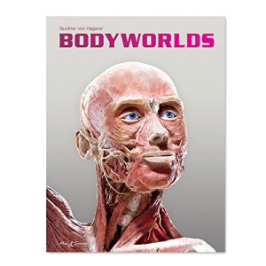 BODY WORLDS: The Original Exhibition of Real Human Bodies
