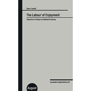 Samo Tomsic: The Labour of Enjoyment. Towards a Critique of Libidinal Economy (Lacanian Explorations)