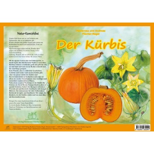 Natur-Kamishibai / Der Kürbis - Natur-Kamishibai