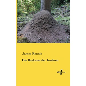 Die Baukunst der Insekten