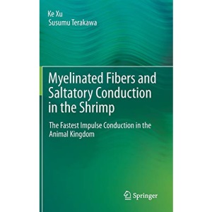 Myelinated Fibers and Saltatory Conduction in the Shrimp: The Fastest Impulse Conduction in the Animal Kingdom
