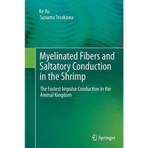 Myelinated Fibers and Saltatory Conduction in the Shrimp: The Fastest Impulse Conduction in the Animal Kingdom