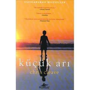 Kücük Ari