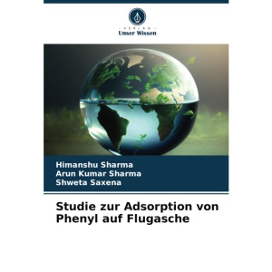 Studie zur Adsorption von Phenyl auf Flugasche