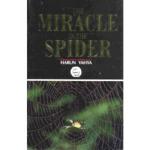 The Miracle In The Spider