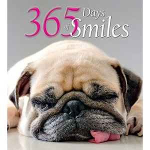 365 Days of Smiles (365 Inspirations)