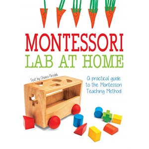 Montessori Lab at Home: A Practical Guide about Montessori Teaching Method
