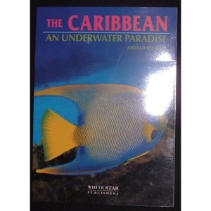 The Caribbean. An Underwater Paradise.