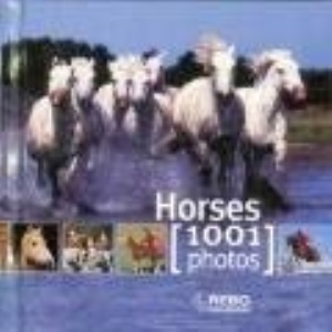 Horses 1001 Photos (Cubebooks)