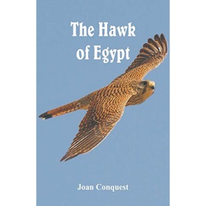 The Hawk of Egypt