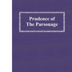 A Tramp's Wallet stored by an English goldsmith during his wanderings in Germany and France (Edition1)