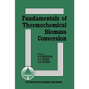 Fundamentals of Thermochemical Biomass Conversion