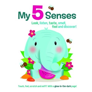 My Senses (Boardbook)