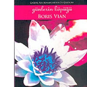 Günlerin Köpüğü