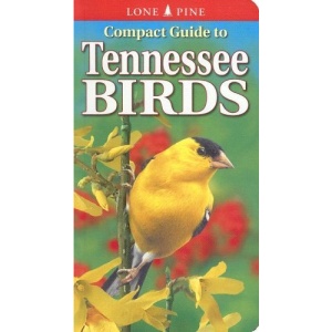 Compact Guide to Tennessee Birds