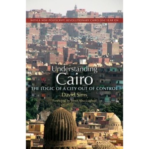 Understanding Cairo: The Logic of a City Out of Control