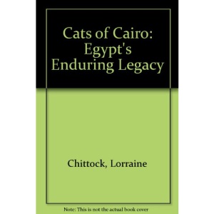 Cats of Cairo: Egypt's Enduring Legacy