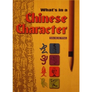What's in a Chinese Character?