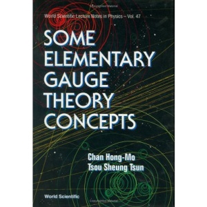 Some Elementary Gauge Theory Concepts (Lecture Notes in Physics)