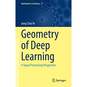 Geometry of Deep Learning: A Signal Processing Perspective: 37 (Mathematics in Industry, 37)