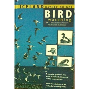 Iceland Nature Guides Birdwatching