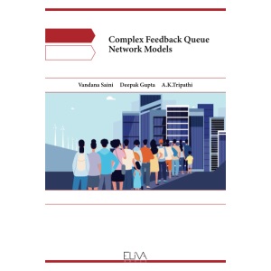 Complex Feedback Queue Network Models