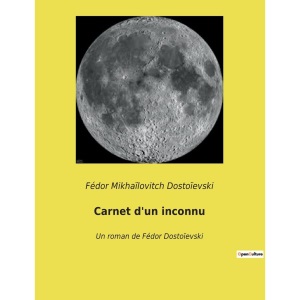 Carnet d'un inconnu: Un roman de Fédor Dostoïevski