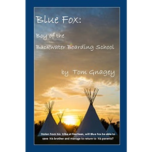 Blue Fox: Boy of the Backwater Boarding School