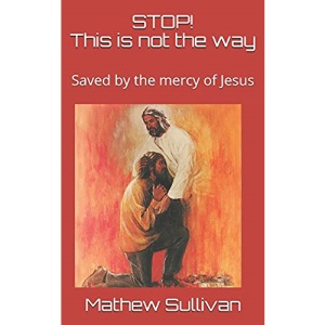 STOP! This is not the way: Saved by the mercy of Jesus (Inner Healing through the Grace of God)