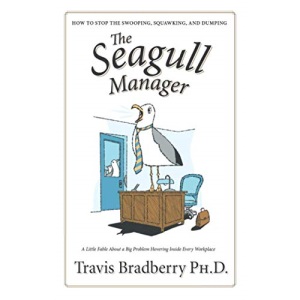 The Seagull Manager: How to stop the swooping, squawking, and dumping