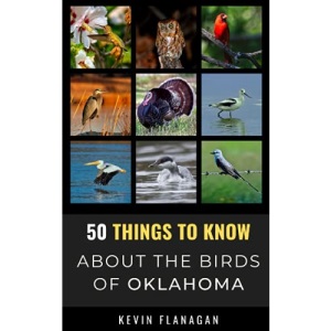 50 Things to Know About Birds in Oklahoma: Birding in the Oklahoma: 12 (50 Things to Know About Birds- United States)