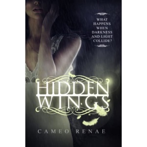 Hidden Wings (Hidden Wings Series Book One): 1